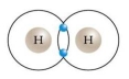 Draw two hydrogen atoms using Bohr's model. Now bond them to form a molecule of hydrogen gas. Write the molecular formula. Explain what type of bond you've created and why this is a stable situation.