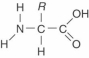 <strong>The structure shown in Figure 2.24 is </strong> A) a glucose molecule. B) a fatty acid molecule. C) a glycerol molecule. D) a protein molecule. E) an amino acid.