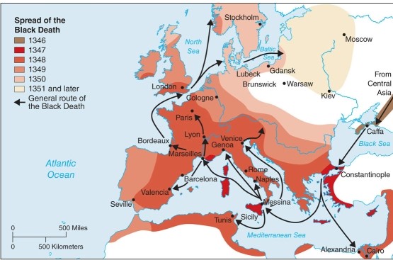 <strong>According to the map, the Black Death (the Bubonic Plague) originated  </strong> A)in central Asia. B)in the eastern Mediterranean Sea area. C)in central Europe. D)in the Baltic Sea area. <div style=padding-top: 35px> 