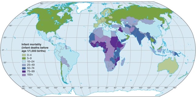 <strong>Based on the map of infant mortality rates, China  </strong> A)has about the highest mortality in the world. B)is in the lowest category of mortality in the world. C)is shown with a greatly varied mortality within its borders. D)has about the same mortality rate as India. <div style=padding-top: 35px> 