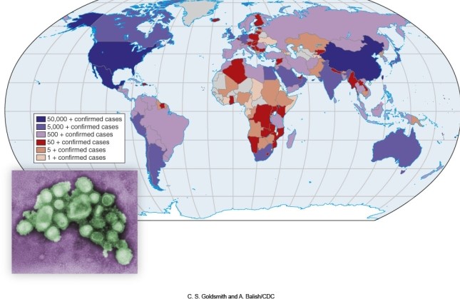 <strong>The red coloring in the map of swine flu </strong> A)is a medium value when it perceptually makes the flu appear prevalent in Africa. B)stands out much more that higher values shown in blue. C)makes Africa appear more infected than it really is. D)all of the above. Scrambling: Locked