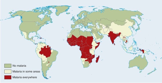 <strong>According to the map of malaria, there are two areas where the disease is endemic in South America.They are </strong> A)Paraguay and Uruguay. B)Argentina and parts of Uruguay. C)Eastern Chile and western Argentina. D)Amazon Brazil and a bit of eastern Paraguay.
