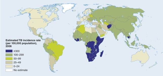 <strong>The map of tuberculosis shows endemic patterns </strong> A)in southern and eastern Africa. B)in southern and eastern South America. C)in southern and eastern Australia. D)in southern and eastern North America.