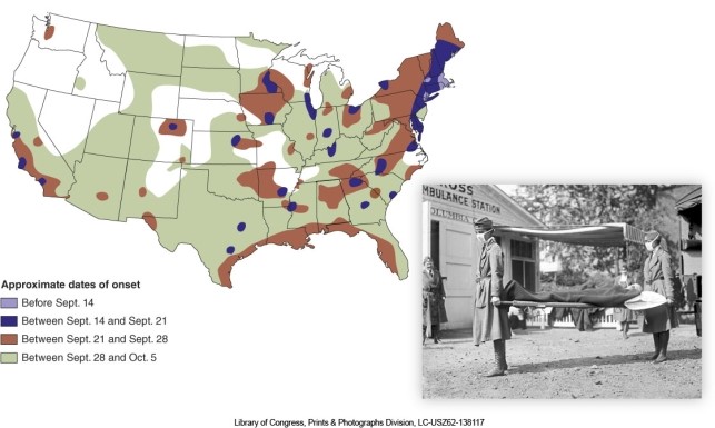 <strong>Using the map of occurrence of the Spanish Flu, areas of the U.S.that apparently were never affected are </strong> A)along the eastern seaboard and shown in blue. B)in Appalachia and shown in brown. C)in the Middle West and shown in green. D)in the Great Plains and Northwest and shown in white.