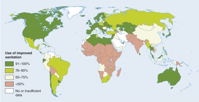 <strong>In the map of access to proper sanitation, Bolivia in South America </strong> A)is the country with the poorest access. B)is apparently the richest country on the continent. C)has a great deal more access than Uruguay. D)is about the same as Australia in good sanitation access.