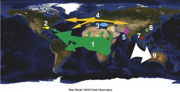 <strong>In the map of major world migration movements the white arrow pointing to Australia signified </strong> A)slaves. B)convicts. C)those persecuted because of religion. D)movement as the result of a war.