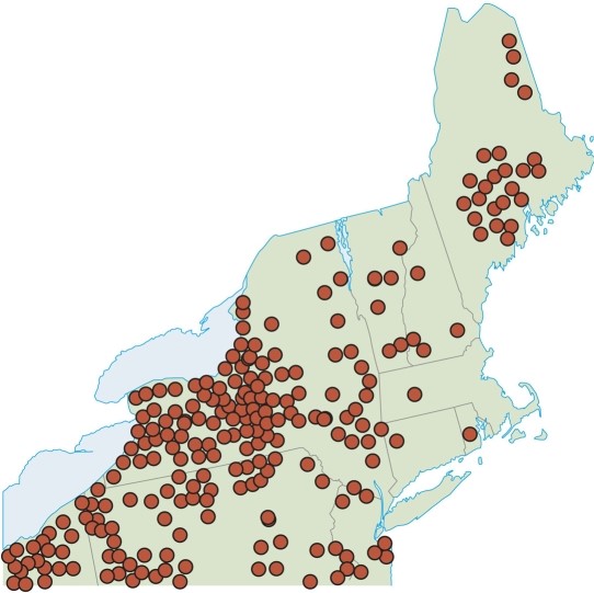 <strong>Wilbur Zelinsky's map of classical town names suggests </strong> A)the American people have long harked to their old 'Oktoberfest' German origins. B)the beginning of the American love of old things - antiques and 'Americana'. C)the diffusion of Viking settlers before the English and other Europeans arrived. D)the American fascination with Greek and Roman ideals just after the Revolutionary War.