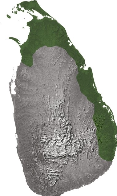 <strong>Maps and discussion in the text show that ethnic groups like Sri Lankan Tamils or Tibetans may </strong> A)attempt to unify with local cultures, abandoning their own. B)become brand new ethnicities, which had never been witnessed before. C)try to reinforce their ethnicity by becoming independent countries. D)virtually disappear after severe repression and persecution.