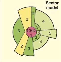 In the sector model, Homer Hoyt added what main characteristic to a city's development?