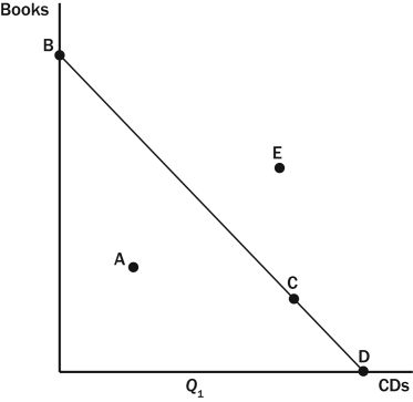 <strong>Figure 21-1 -Refer to Figure 21-1.A consumer that chooses to spend all of her income could be at which point(s)on the budget constraint?</strong> A) A only B) E only C) B,C,or D only D) A,B,C,or D only