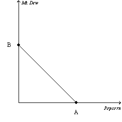 Figure 21-5   -Refer to Figure 21-5.Suppose a consumer has $200 in income,the price of popcorn is $1,and the price of Mt.Dew is $2.What is the value of A?