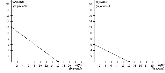 Use the following Figure to answer the question : Figure 3-19 Chile's Production Possibilities Frontier Colombia's Production Possibilities Frontier -Refer to Figure 3-19. Colombia would incur an opportunity cost of 24 pounds of coffee if it increased its production of soybeans by