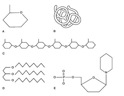 Figure 2.1 Using Figure 2.1, match the following: Nucleotide