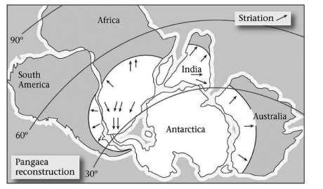 <strong>Late Paleozoic glacial deposits are NOT found in  </strong> A)India. B)southern Africa. C)North America. D)South America. <div style=padding-top: 35px> 
