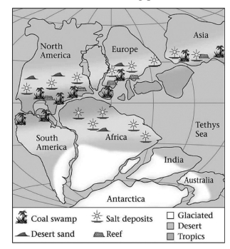 <strong>Consult the figure below. Abundant swamps led to the formation of coal during the Late Paleozoic in which of the following places?  </strong> A)India B)southern Africa C)North America D)Antarctica <div style=padding-top: 35px> 