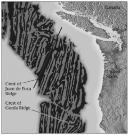 <strong>According to the figure below, marine magnetic anomalies lay roughly __________ to mid-ocean ridges.  </strong> A)perpendicular B)parallel C)adjacent D)at an obtuse angle <div style=padding-top: 35px> 