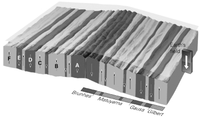 Using the image below, which marine magnetic anomalies show a reversed polarity?