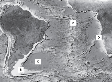 According to the image below, where is new oceanic crust being formed?