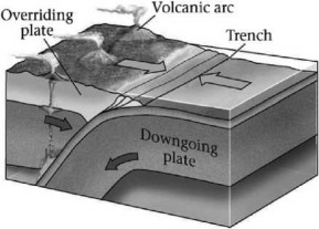 <strong>Which basic type of plate boundary is shown in the image below?  </strong> A)divergent B)convergent C)transvergent D)transform <div style=padding-top: 35px> 