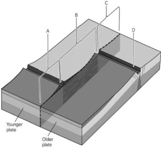 <strong>The image below shows a view of a typical segmented mid-ocean ridge. Which letter below marks the location of the active transform fault?  </strong> A) A B) B C)C D)D <div style=padding-top: 35px> 