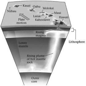 <strong>Consult the figure below. Hawaii is an example of  </strong> A)hot-spot volcanism. B)mid-ocean ridge volcanism. C)a volcanic island arc formed by subduction. D)transform margin. <div style=padding-top: 35px> 