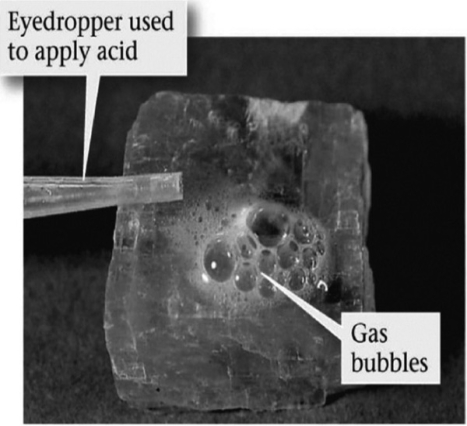 <strong>The image below shows a mineral with hydrochloric acid applied to it. What mineral is this? </strong> A)quartz B)halite C)calcite D)fluorite