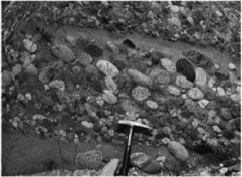 <strong>The image below shows an outcrop of coarse-grained sedimentary rock. Note the rock hammer for scale. What is an appropriate name for this rock?  </strong> A)sandstone B)shale C)breccia D)conglomerate <div style=padding-top: 35px> 