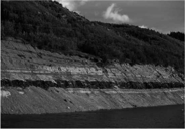 <strong>The image below shows a layer of ________, which is an accumulation of dead plant material.  </strong> A)limestone B)coal C)sandstone D)chalk <div style=padding-top: 35px> 