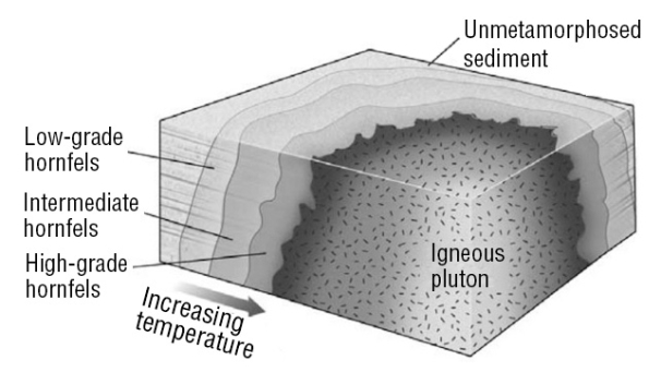 <strong>Consult the figure below. The region of thermally metamorphosed rock surrounding a cooled pluton is called a(n) </strong> A)shear zone. B)aureole. C)chilled margin. D)metamorphic ring.