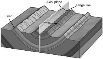 <strong>The fold in the image below is a(n)  </strong> A)anticline. B)basin. C)dome. D)syncline <div style=padding-top: 35px> 