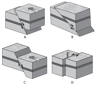 <strong>Which of the following shows a thrust fault?  </strong> A)A B)B C)C D)D <div style=padding-top: 35px> 