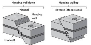 Draw a cross section of a normal and reverse fault. For each, list the stress involved and changes in the length of the crust, if any.