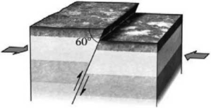 <strong>During an earthquake, if the hanging wall slides upward relative to the footwall and if the fault is steep (closer to vertical than horizontal), then the fault is termed a ___________ fault. Refer to the following figure for an example of such a feature.  </strong> A)normal B)reverse C)strike-slip D)thrust <div style=padding-top: 35px> 