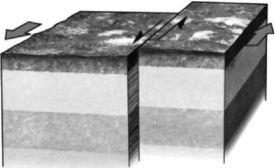 <strong>If a fault is nearly vertical in orientation and the two walls of rock on opposite sides slide past one another horizontally, the fault is termed a ___________ fault. Refer to the following figure for an example of such a feature.  </strong> A)normal B)reverse C)strike-slip D)thrust <div style=padding-top: 35px> 