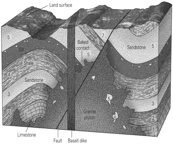 Place the layers and geologic events in order from oldest to youngest. Make sure to include all of the layers and events, including the top surface. (There will be one event/layer per line when complete.)