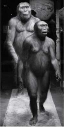 <strong>Which of the following images contains evidence of the earliest life to form on Earth?</strong> A)   B)   C)   D)   <div style=padding-top: 35px> 