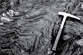 <strong>Which of the following images contains evidence of the earliest life to form on Earth?</strong> A)   B)   C)   D)   <div style=padding-top: 35px> 