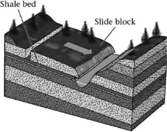 The ___________ in the sequence of sedimentary rocks shown below may become a failure surface.