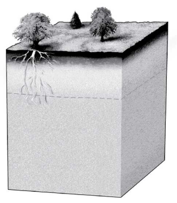 Label the three zones that water moves through as it percolates into Earth on the image below. Also indicate the location of the water table.  <div style=padding-top: 35px> 