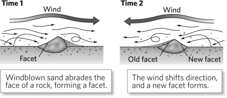 <strong>Wind erosion can create a faceted rock known as a __________ as shown in the figure below. </strong> A)ventifact B)lag deposit C)yardang D)wadi
