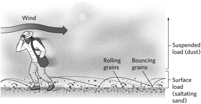 <strong>In the figure below, the sand grains are being transported by </strong> A)desertification. B)saltation. C)surface creep. D)deflation.