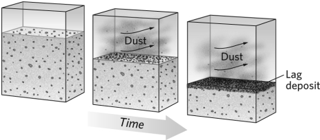 <strong>When fine-grained sediment is blown away as shown in the figure below, the coarser sediment left behind is known as </strong> A)a sabkha. B)ventifacts. C)a lag deposit. D)talus.