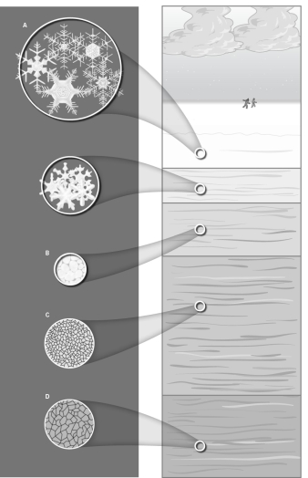 <strong>Which of the images below shows the oldest snow? </strong> A)A B)B C)C D)D