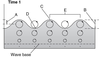 <strong>In the figure below, which letters represent the crest and trough? </strong> A)A and B B)E and D C)C and D D)C and B