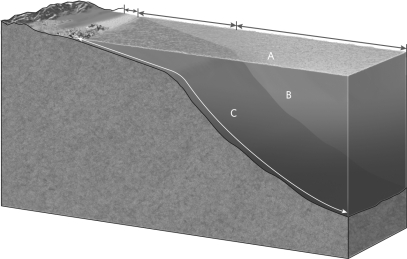 <strong>Using the figure below, identify the photic zone, the aphotic zone, and the benthic zone. </strong> A)littoral zone = A, neritic zone = B, oceanic zone = C B)littoral zone = C, neritic zone = A, oceanic zone = B C)littoral zone = C, neritic zone = B, oceanic zone = A D)littoral zone = B, neritic zone = C, oceanic zone = A