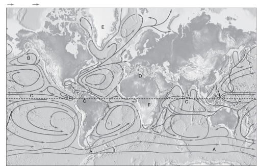 Label the ocean currents of ocean basins shown in the image below using the following word bank (hint: not all of the words will be used). Alaska Current Benguela Current California Current Canary Current Equatorial Counter Current East Australian Current West Greenland Current West Wind Drift