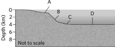 Which location on the figure below is the continental slope?