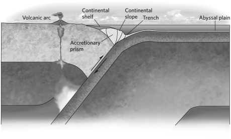 <strong>The schematic shown below illustrates a(n) </strong> A)emergent coast. B)submergent coast. C)active margin. D)passive margin.