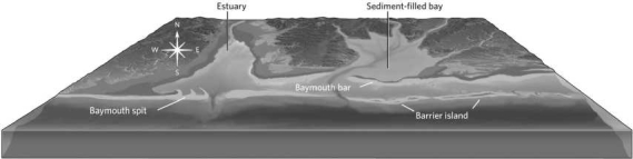 <strong>In the figure below, which direction is the longshore current? </strong> A)south B)east C)west D)It is not possible to tell.