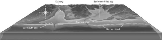 <strong>In the figure below, which direction is the longshore drift? </strong> A)south B)east C)west D)It is not possible to tell.